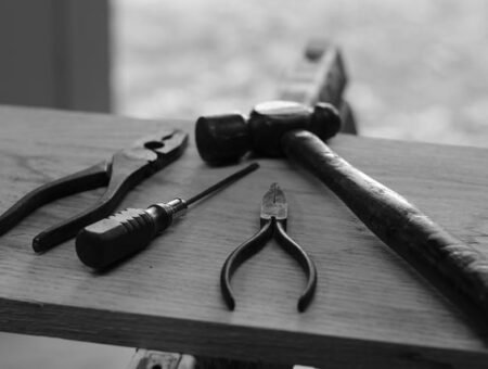 hunter-haley-s8OO2-t-HmQ-unsplash